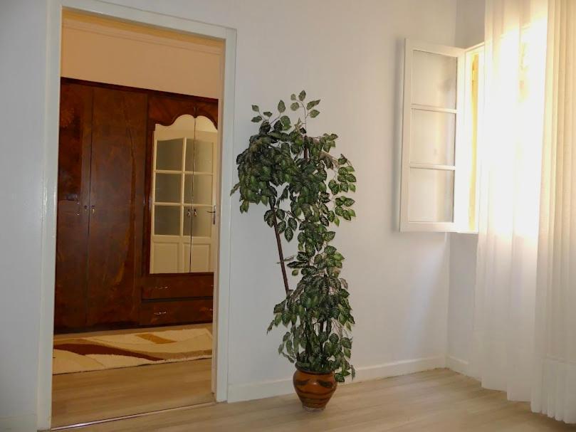 A Cozy Home Right In The Heart Of 탕헤르 외부 사진